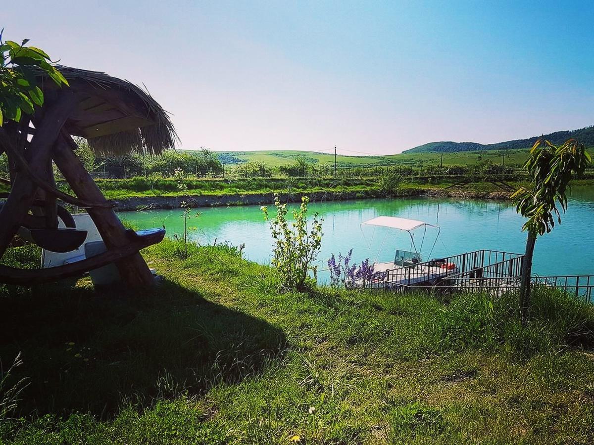 Pastravaria Ursu Vînători-Neamţ Buitenkant foto