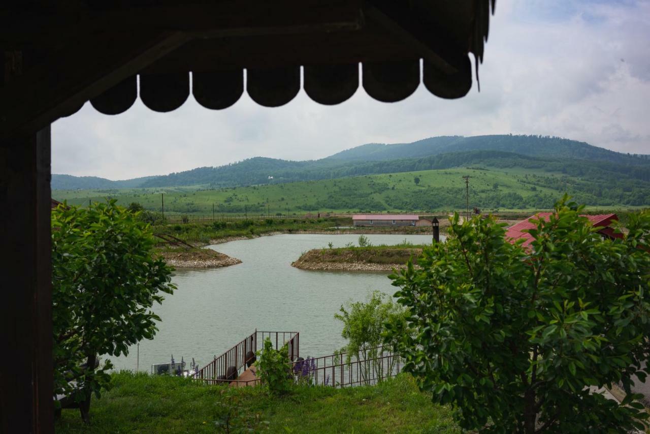 Pastravaria Ursu Vînători-Neamţ Buitenkant foto